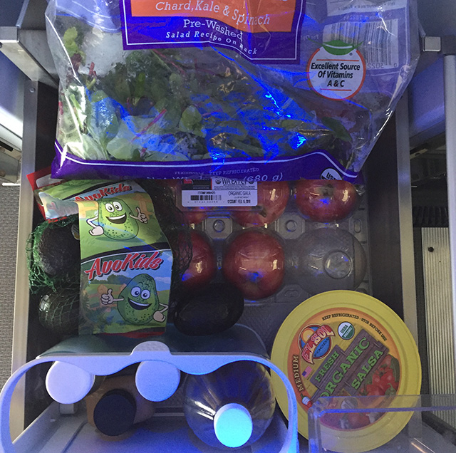 Fridge with plant-based diet foods